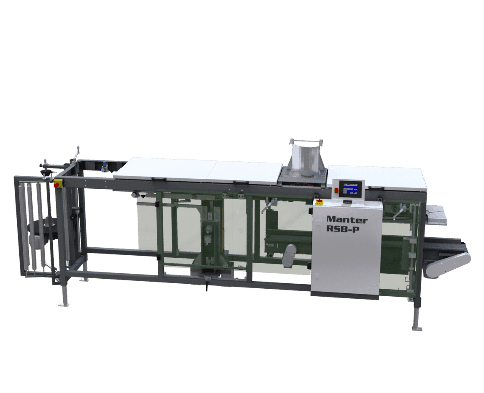 RSB-P packaging machine for vegetables, fruits and other foods