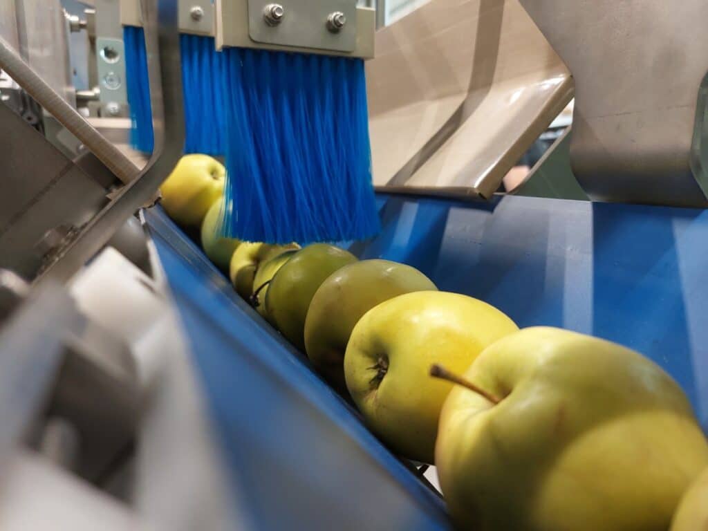 Pouch Filler SF infeed belt closeup