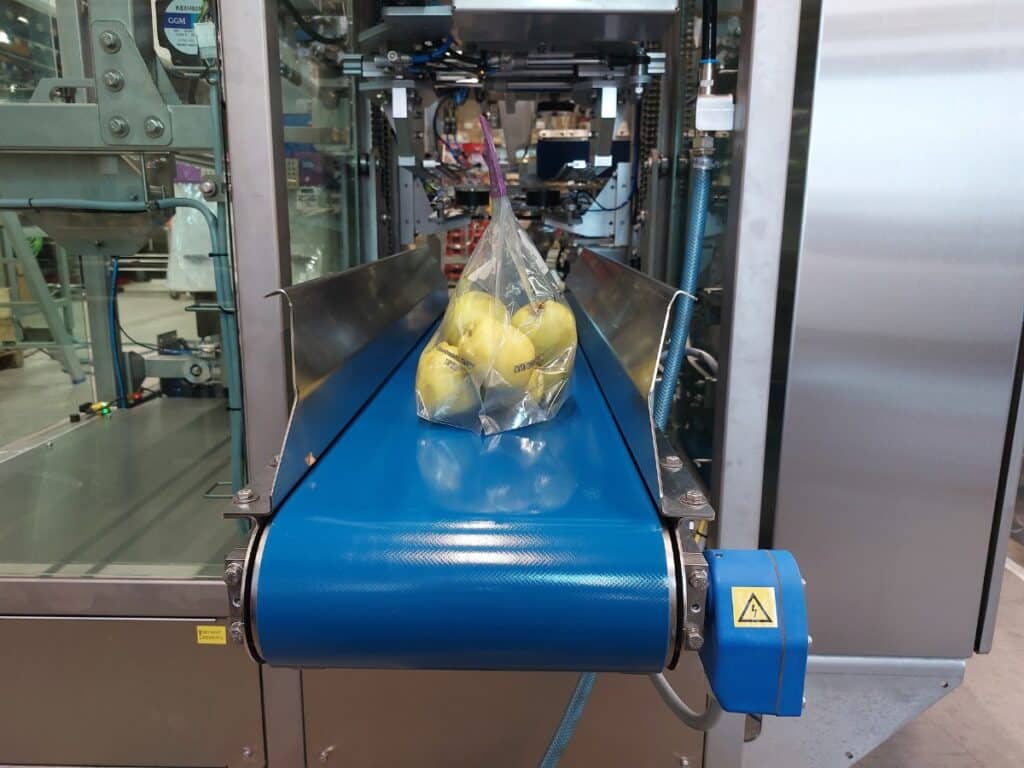 Pouch Filler discharge belt