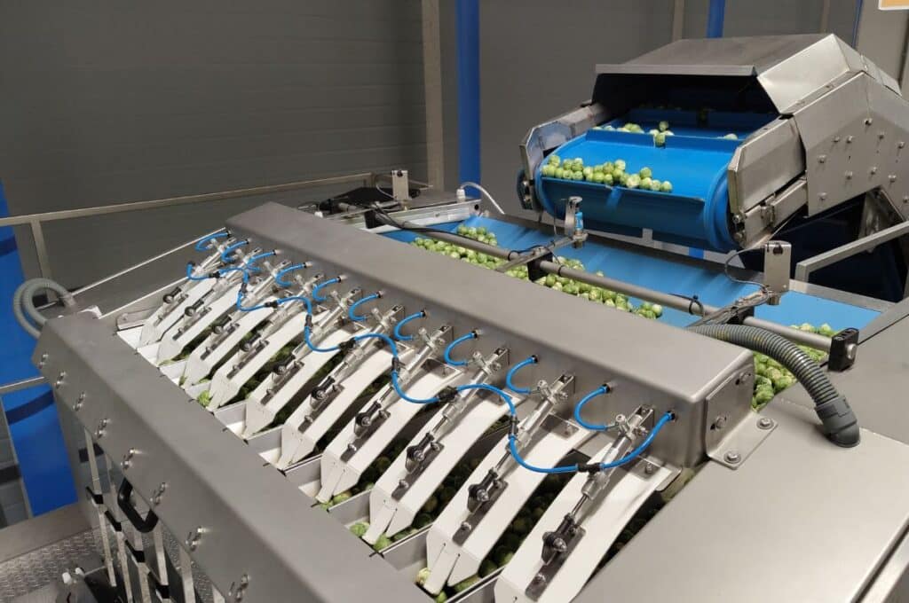 M10i Ds with brussel sprouts