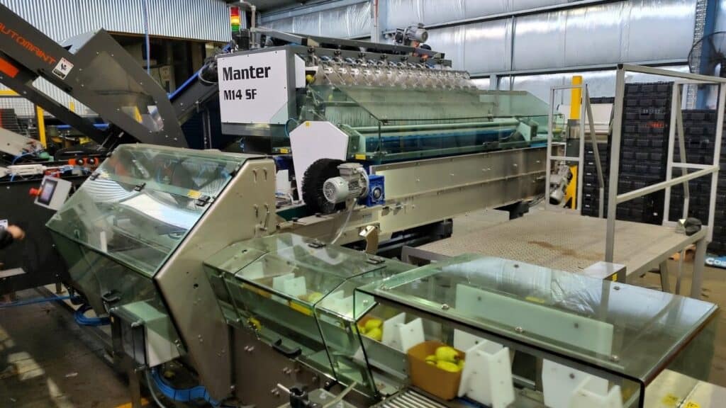 M14 SF Manter weiging machine GV Independent Packers