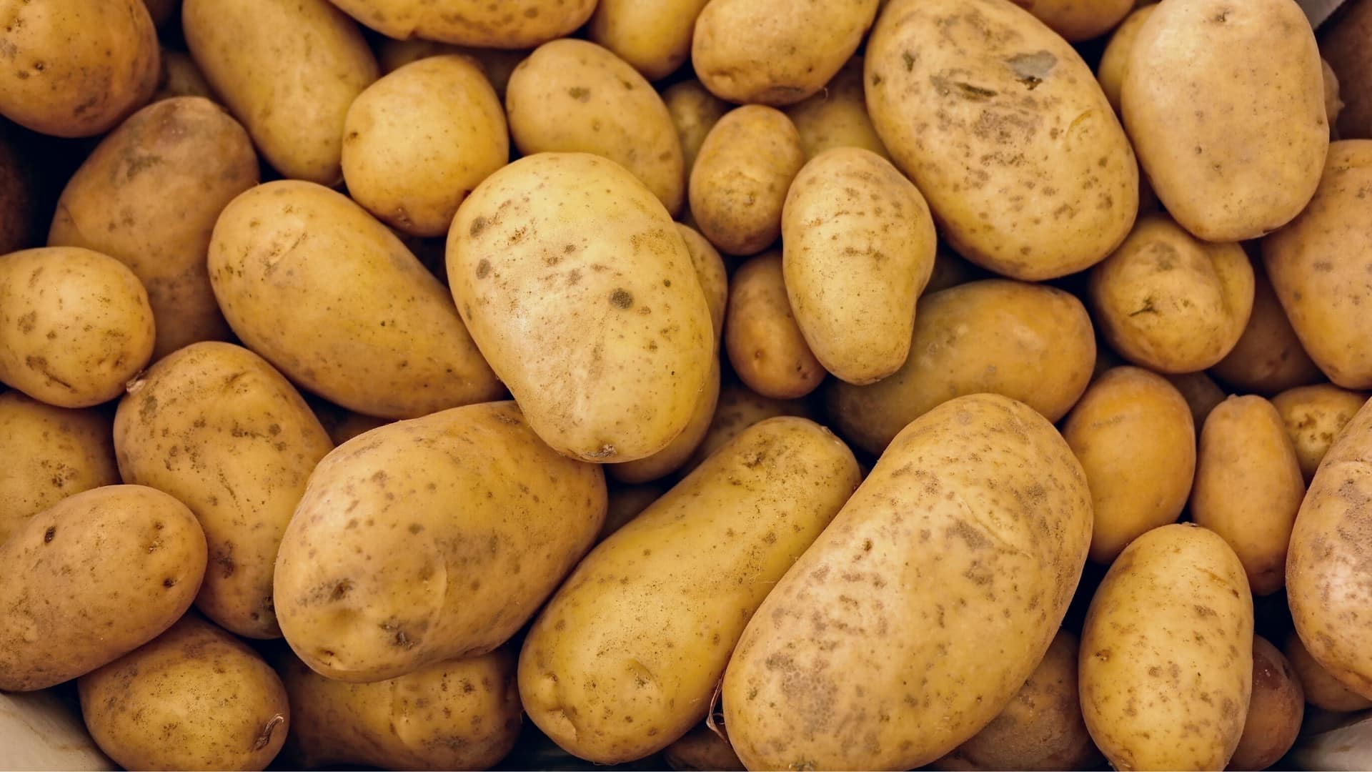 fresh cleaned potatoes