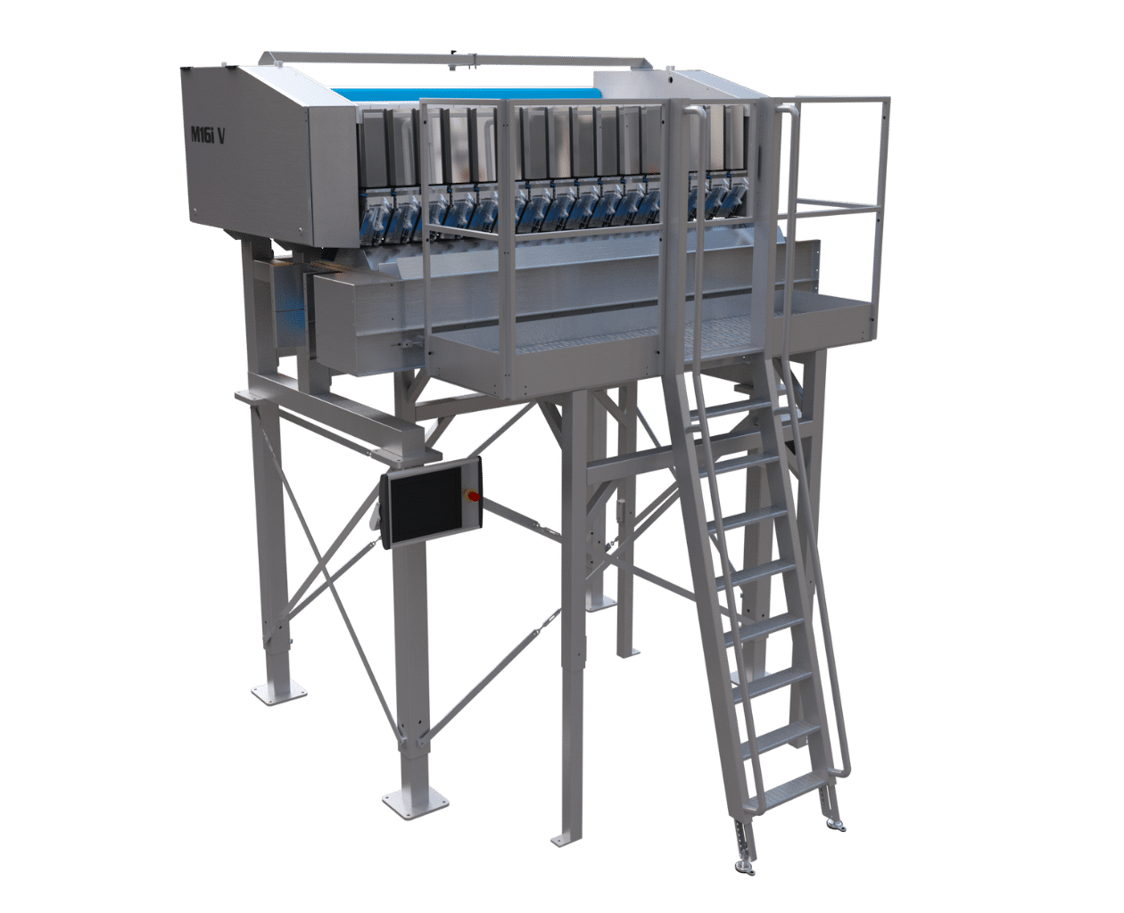 M16i V - multihead weigher for small fruits and vegetables