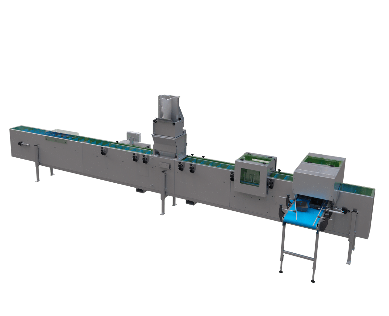 Punnet Filler - Packing machine for punnets and trays