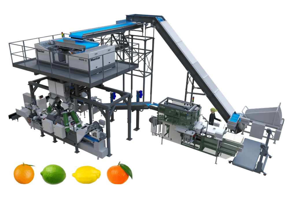 Packaging line for citrus, lemons, grapefruits, mandarins, oranges and limes.