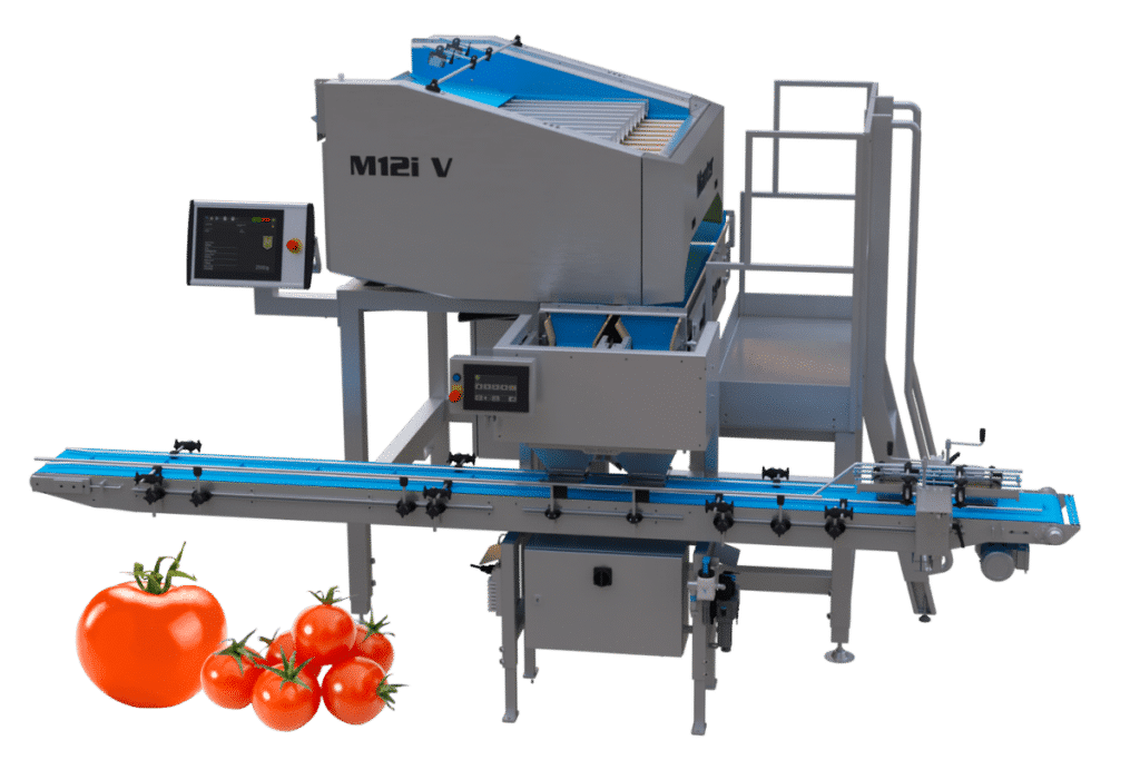 Packaging line for tomatoes
