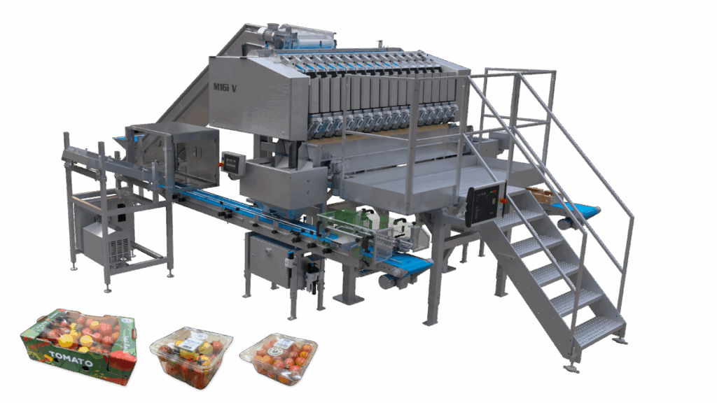 cherry tomatoe packaging line