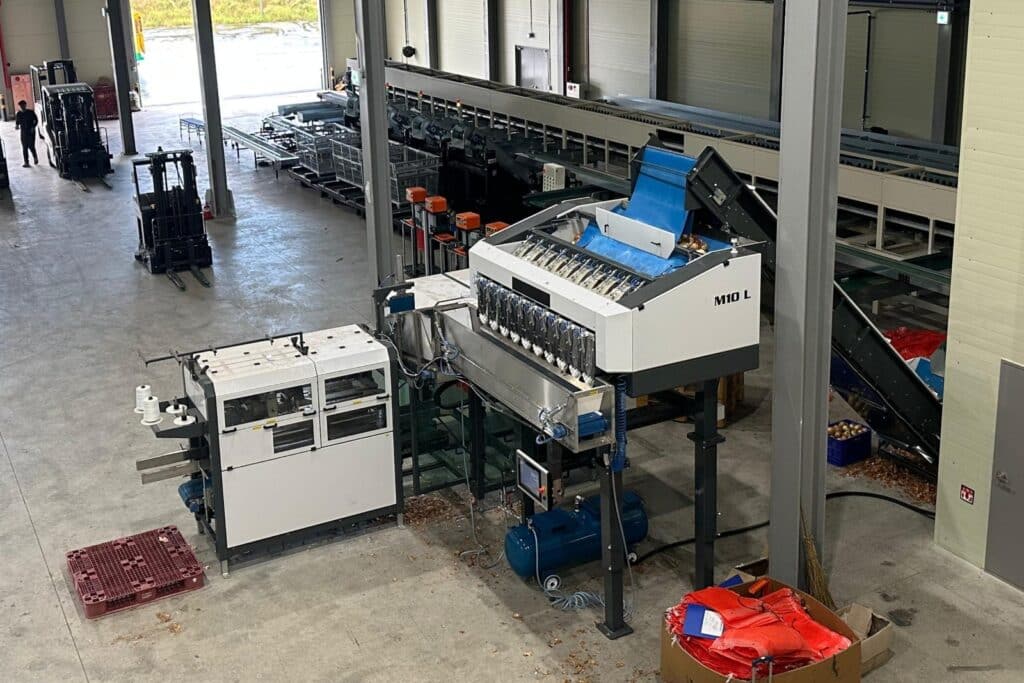 Manter onion bulk bagging line in south korea
