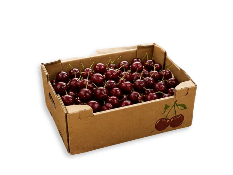Cherry Packing Cherry packaging line - Manter