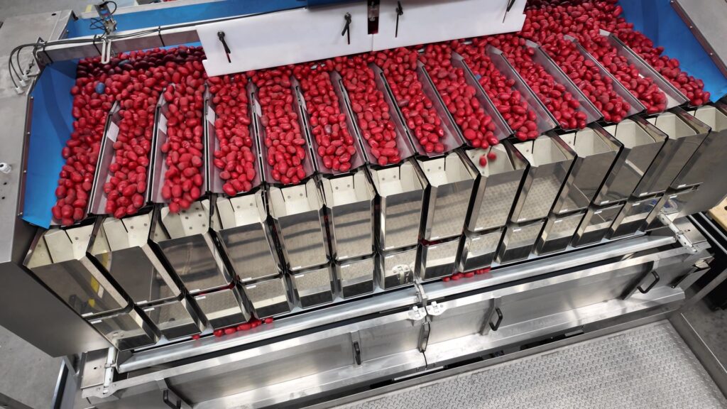 M14i D stainless steel weigher